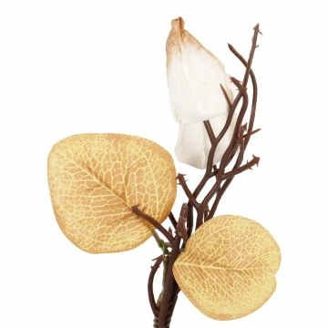 Deko-Stecker Physalis, creme, 16 cm