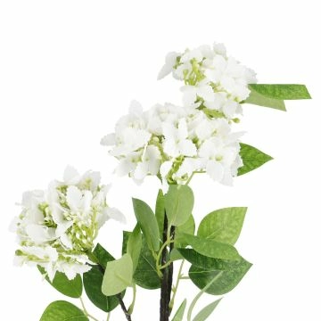 Hortensie Lily, weiß, 55 cm
