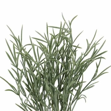 Busch Küstengras, Gras/braun/grün, 38 cm