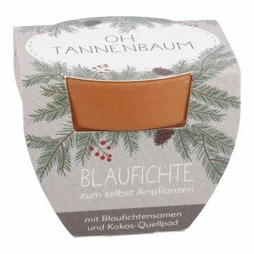 Pflanzset Tannenbaum, Mini/Oh Tannenbaum