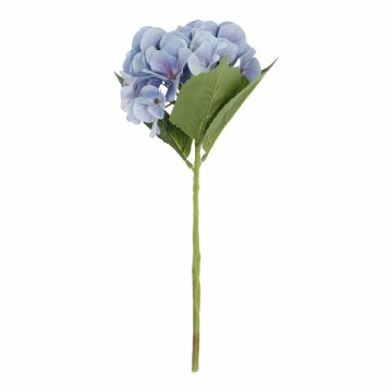 Hortensie Sophia, blau, 35 cm