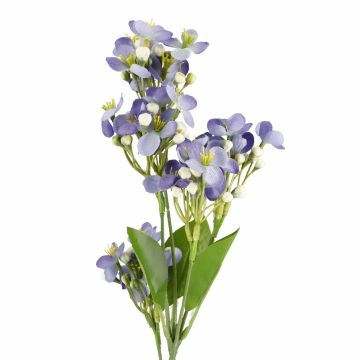 Flieder Edel, lila, 51 cm
