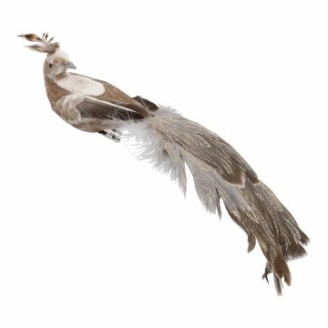 Pfau mit Clip, taupe, 19 cm
