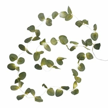 LED-Lichterkette Eukalyptus, 20er