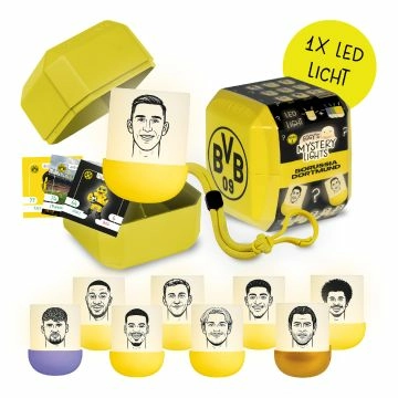 LED Eggy's Mystery Light BVB Blind Box