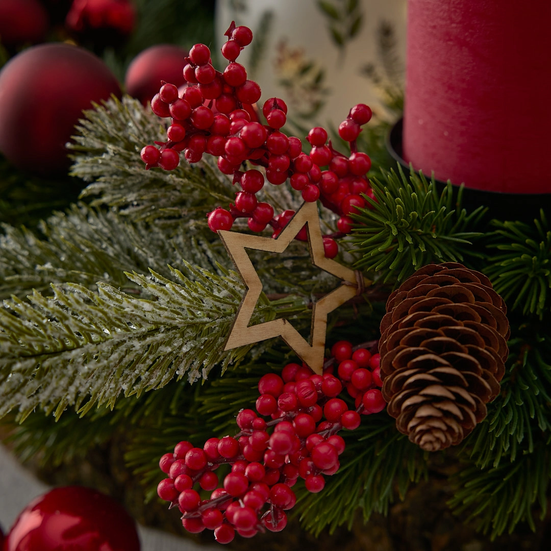 Weihnachtsblumen & -stecker