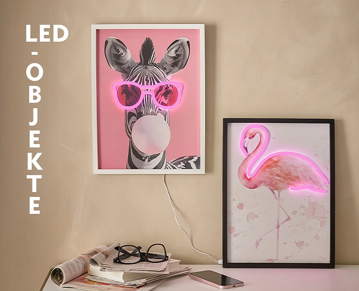 740x600_led-objekte-neon