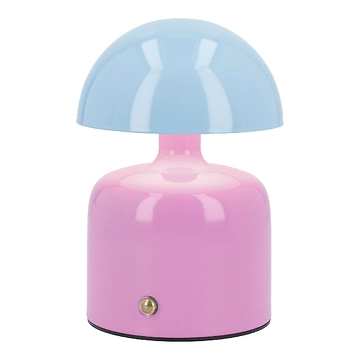 LED-Leuchte Bunt, rosa/blau, 9 x 15 cm