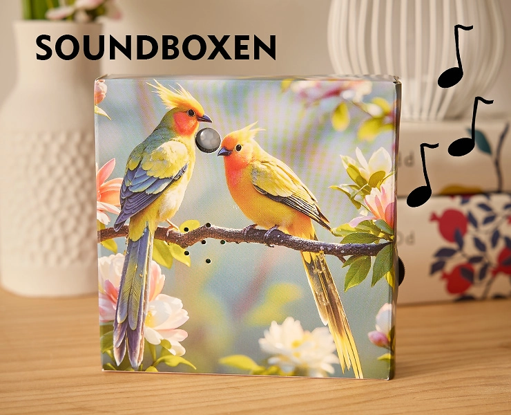740x600_soundbox26