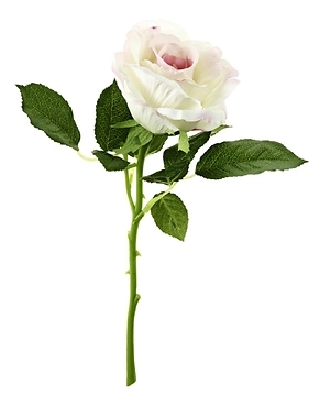 Rose, 30 cm, hell-pink