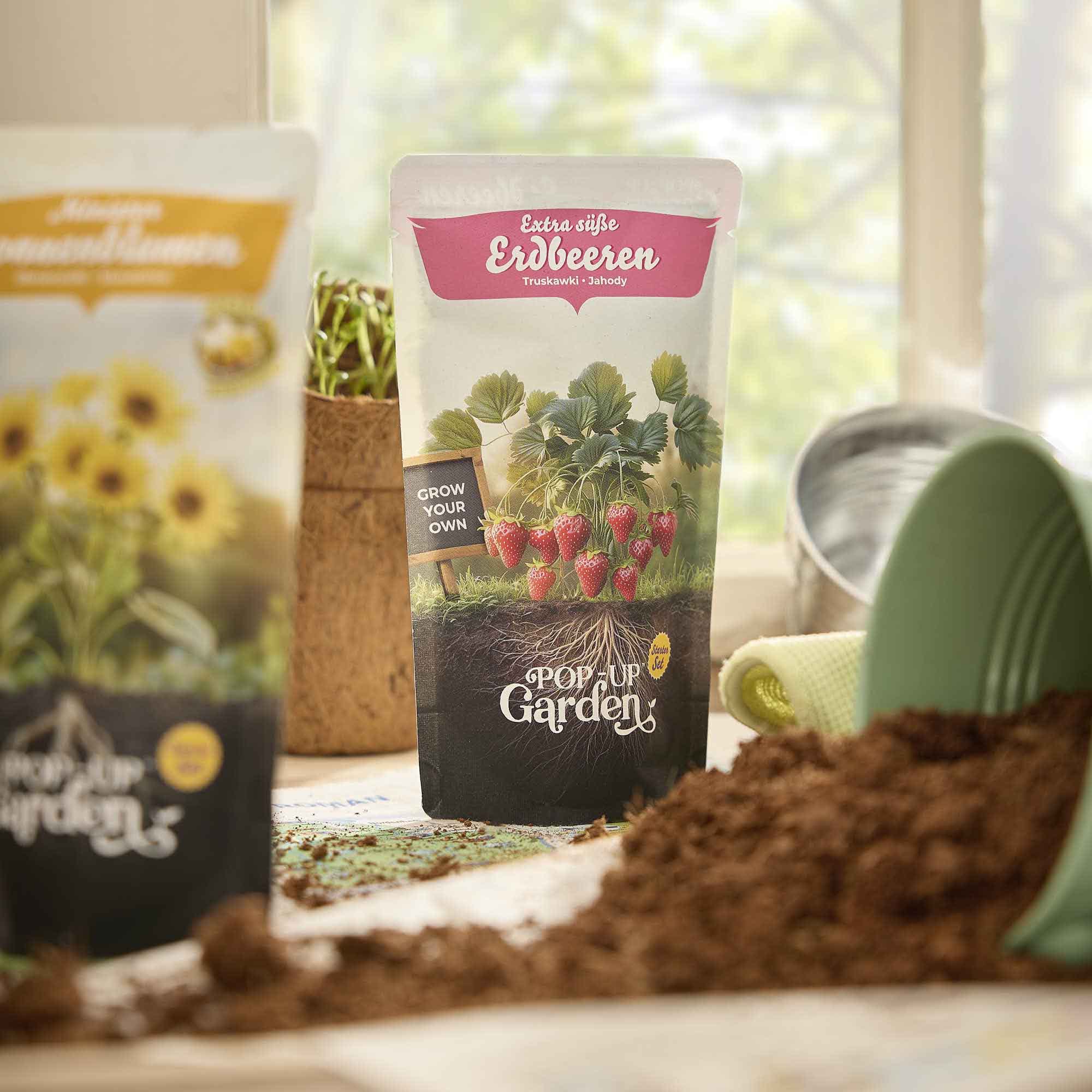 Pflanzsaat im Beutel, Erdbeere, 0.3 l