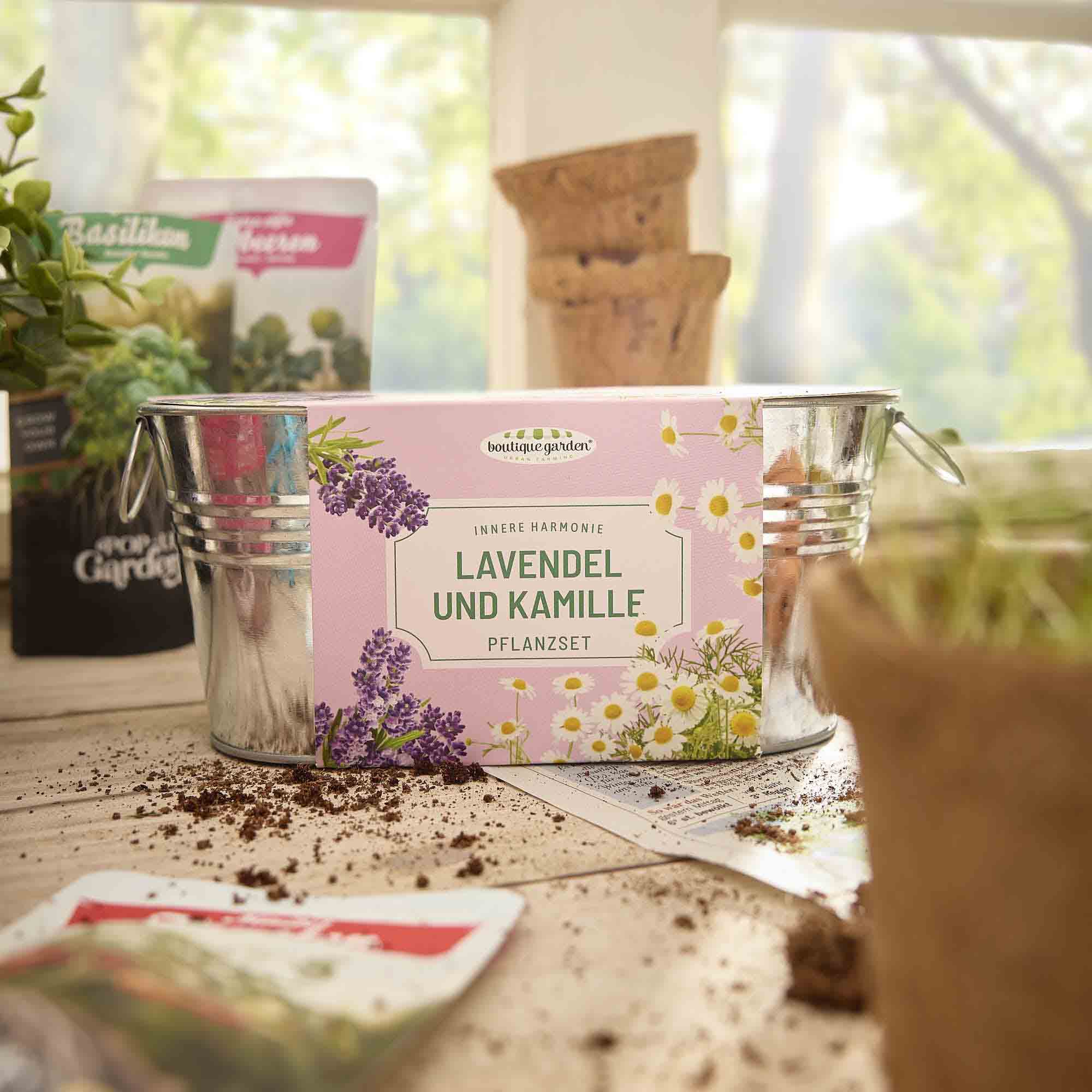 Pflanzset in Wanne, Lavendel/Kamille