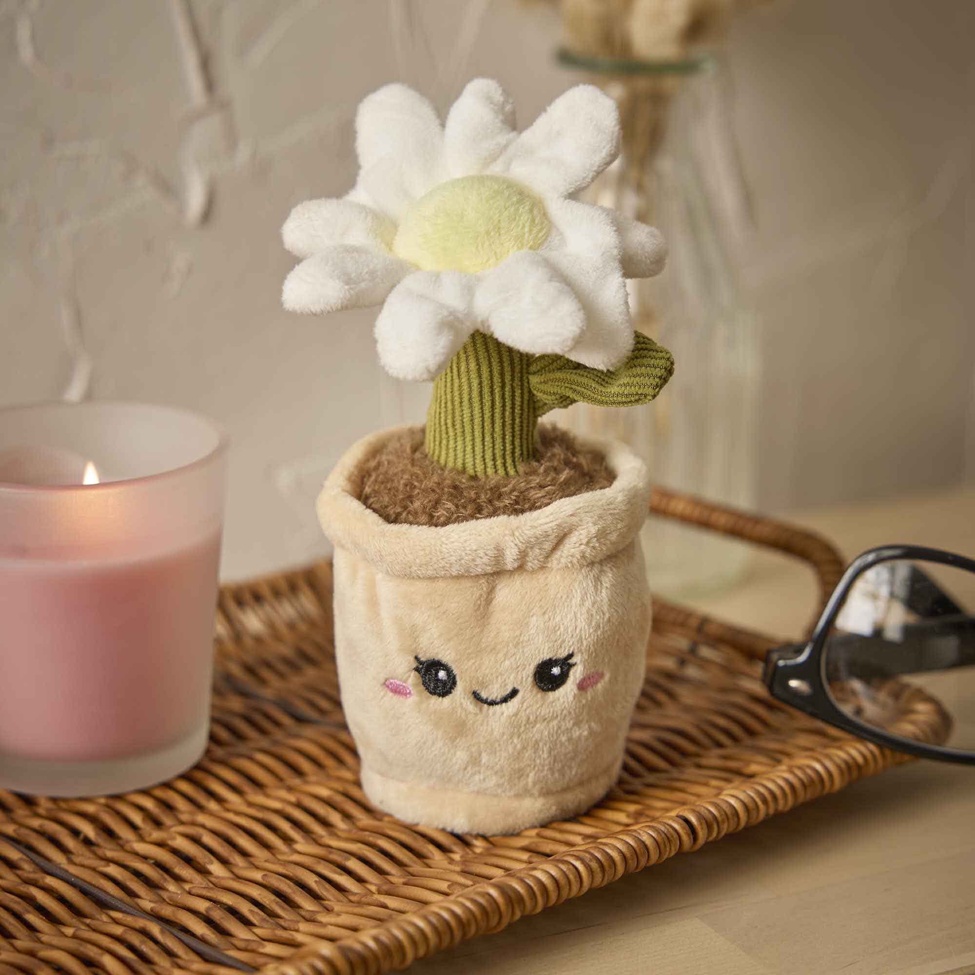 Deko-Topfpflanze mit Gesicht, Margerite, 17 cm