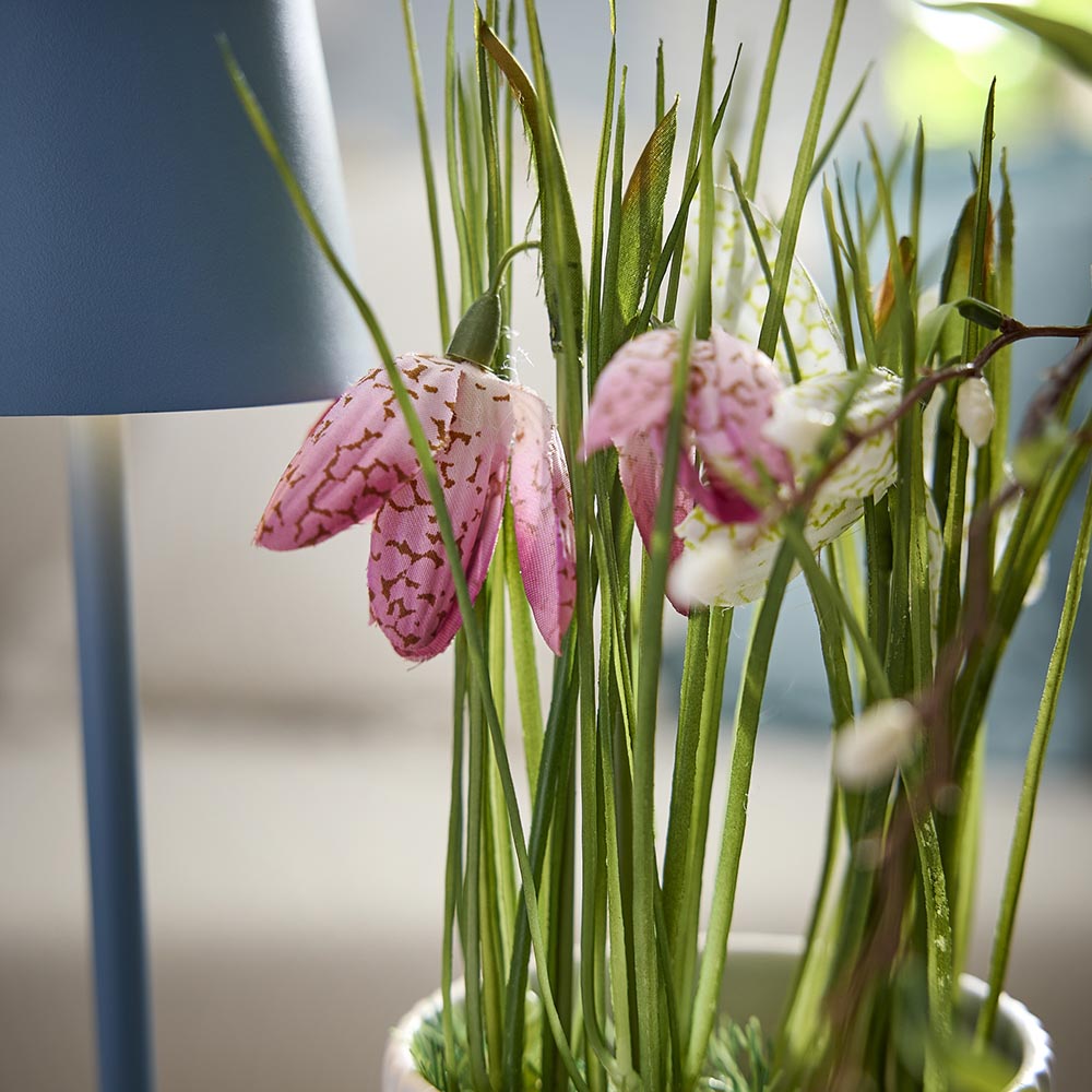 Schachbrett mit Grasballen,rosa