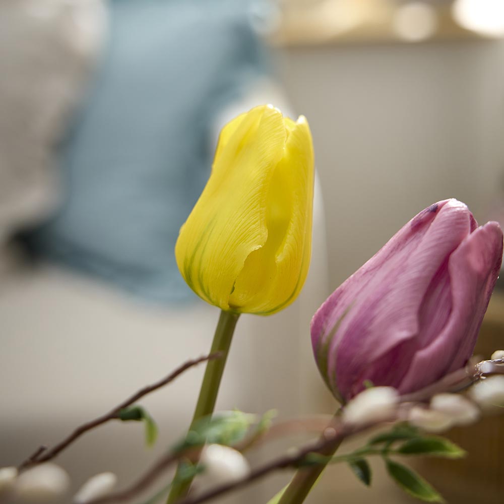 Tulpe Edel, gelb, 48 cm