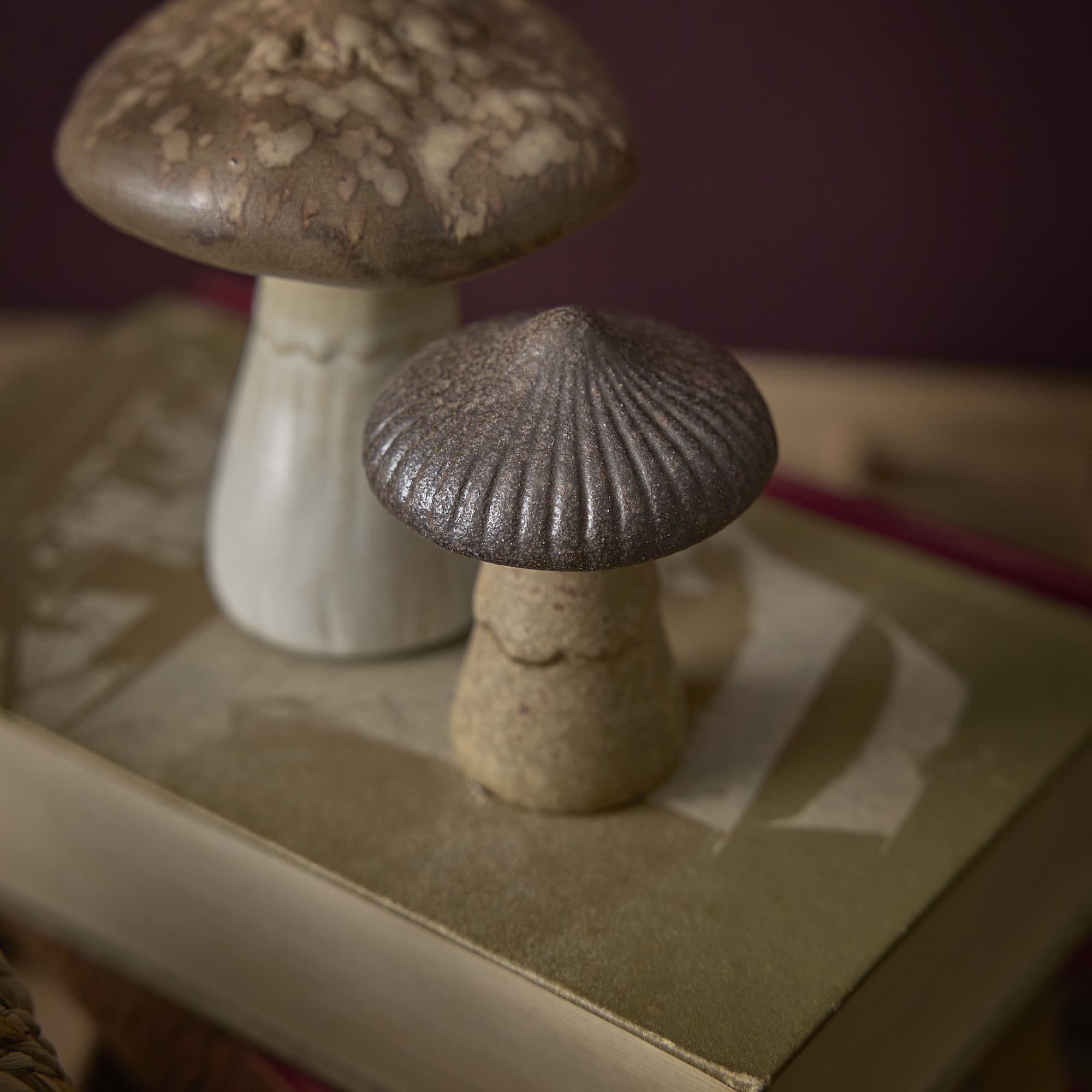 herbst_03_VT_ab_11.08_160