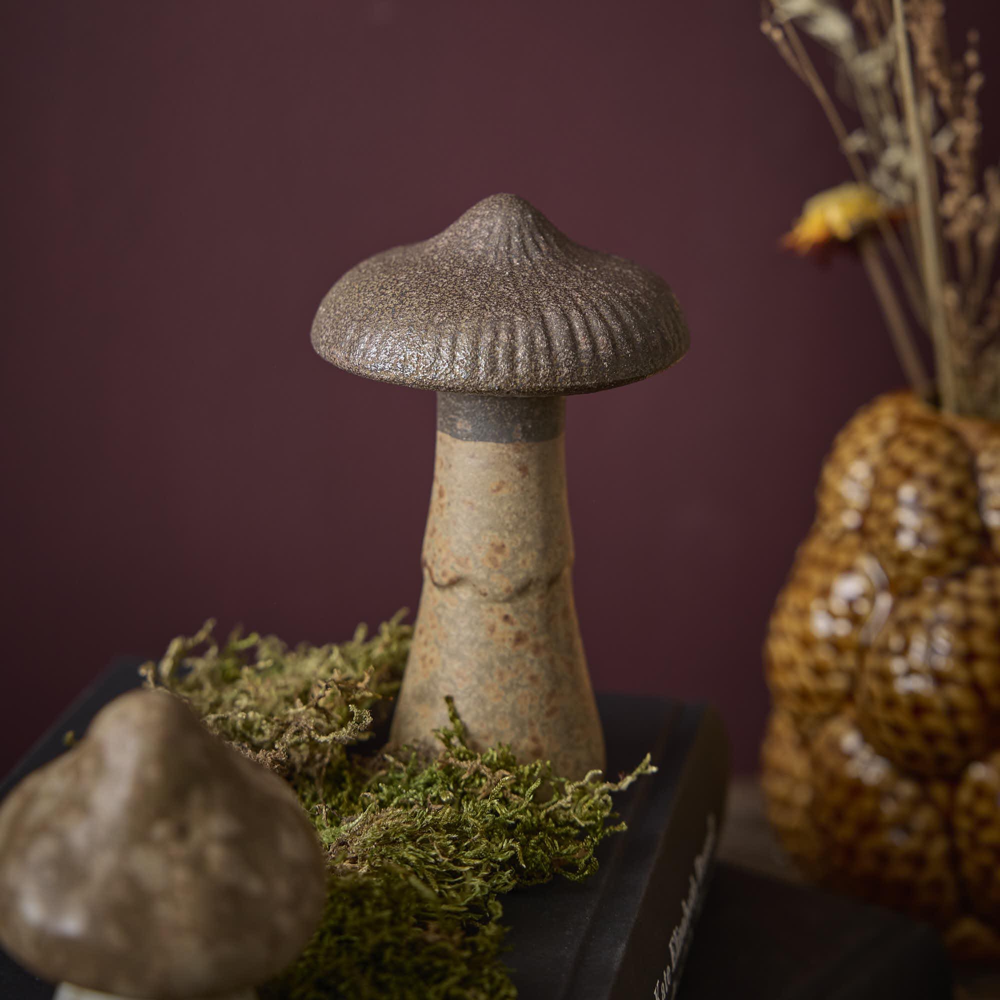 herbst_03_VT_ab_11.08_162