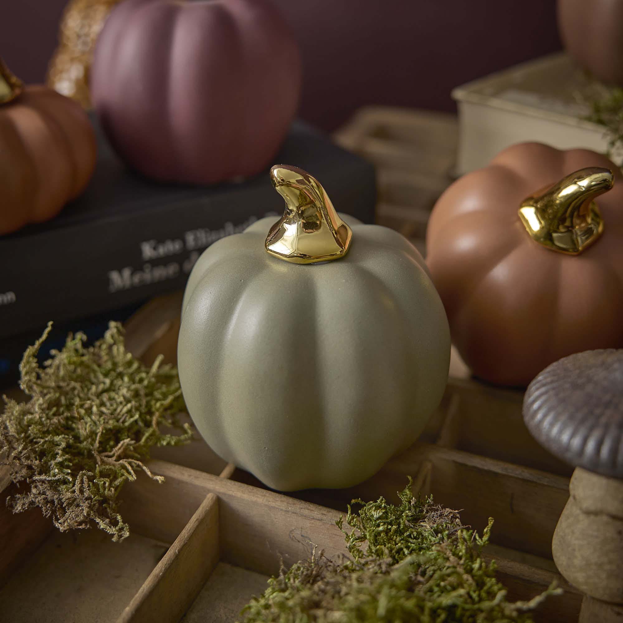 herbst_03_VT_ab_11.08_282