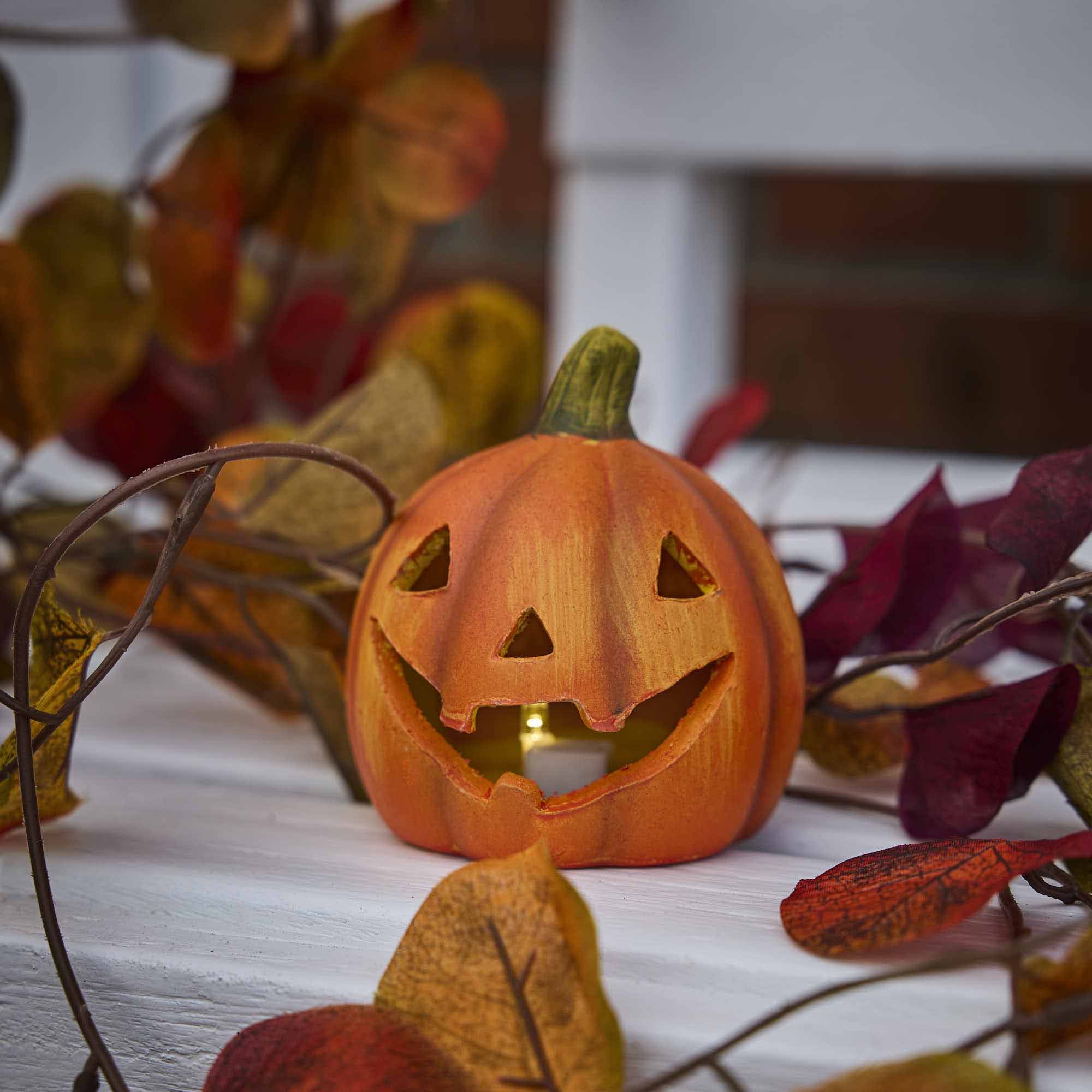 herbst_4vt_016