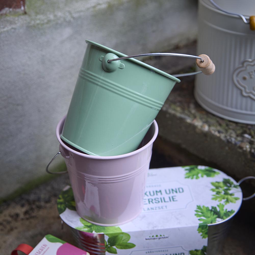 Pflanzset im Eimer, Minze/grün