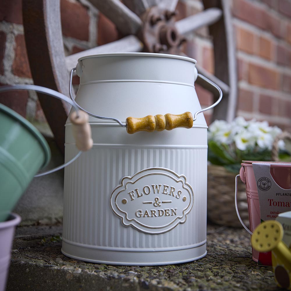 Pflanzset in Milchkanne, Lobelia, 22 cm