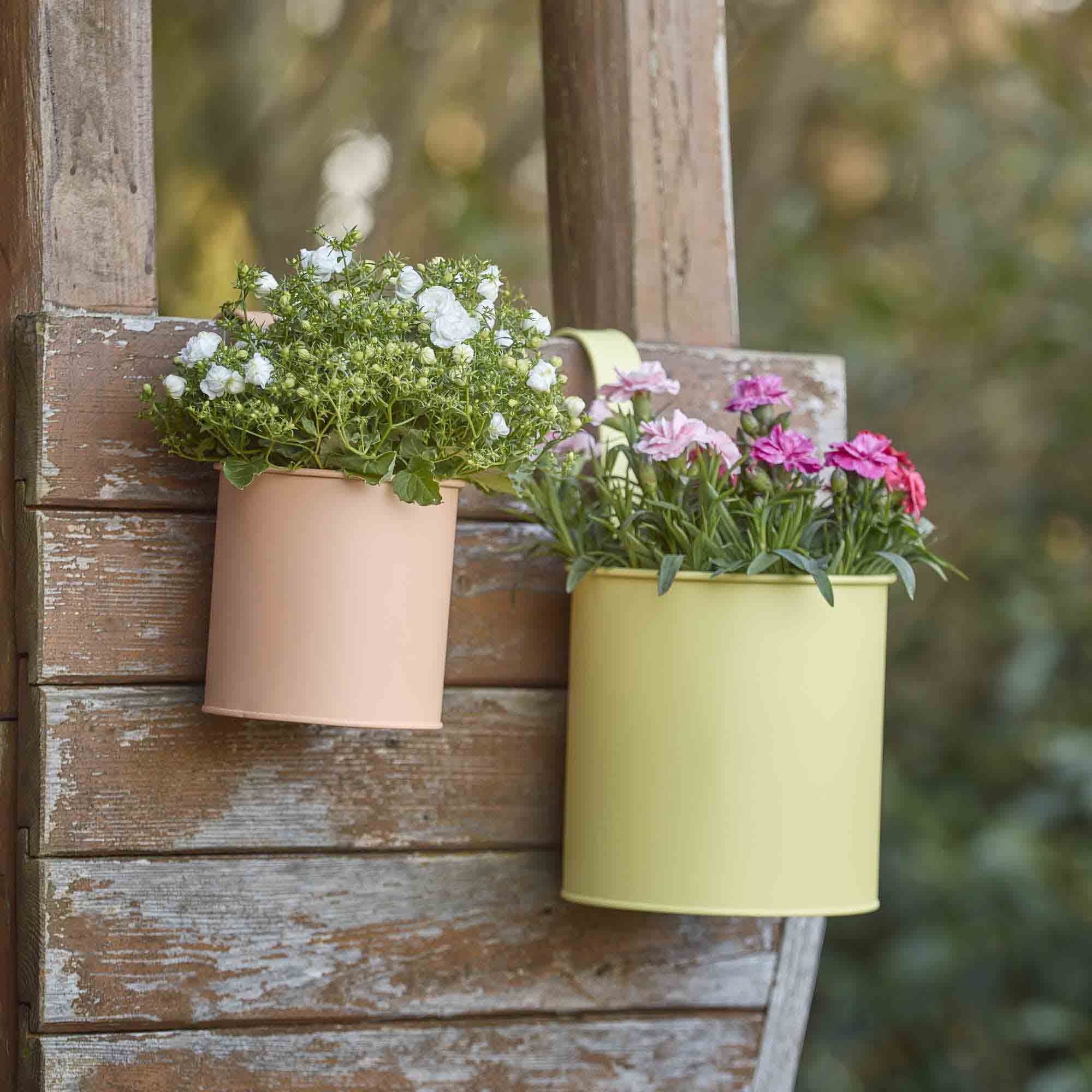 Pflanztopf, apricot/hängend, 11 x 19 cm