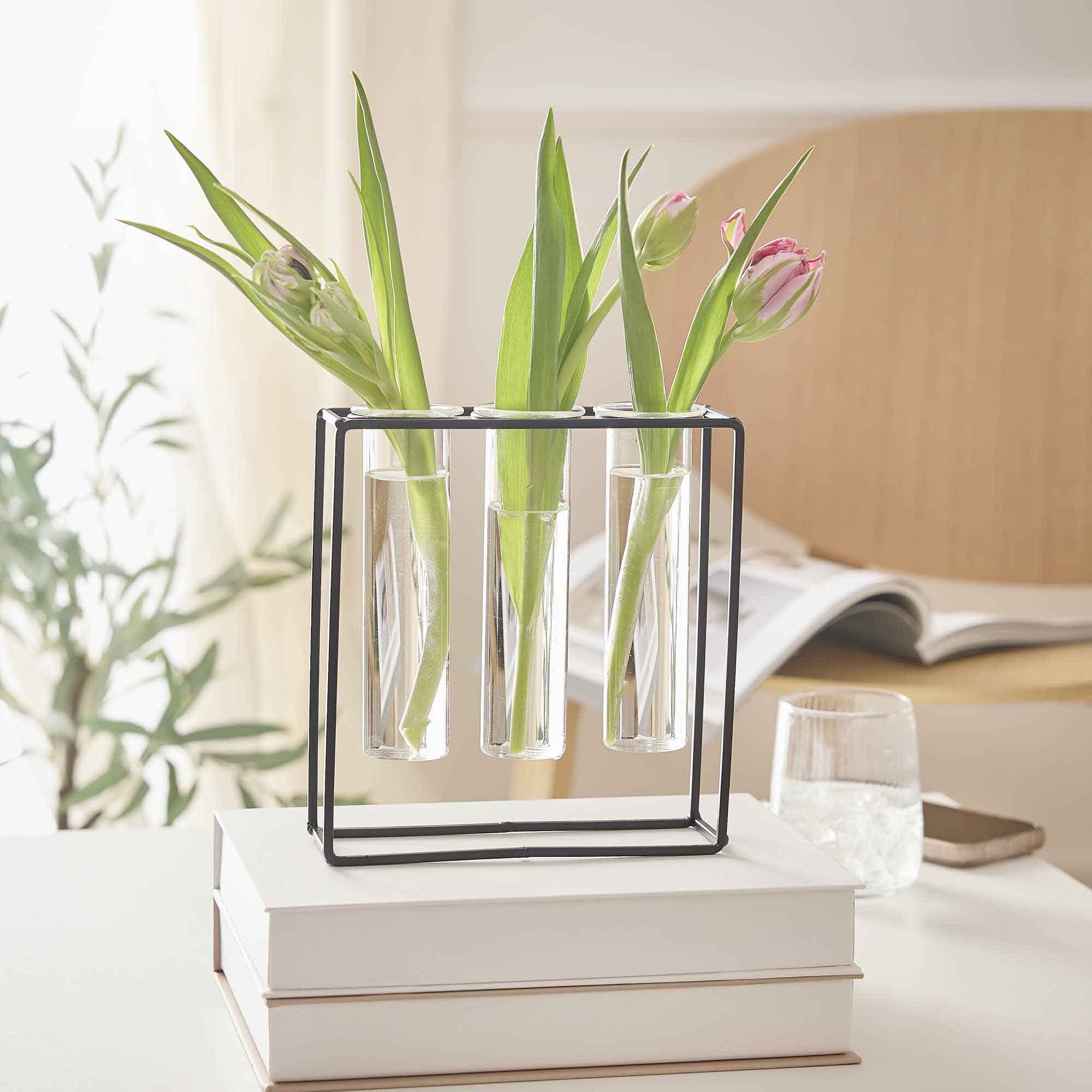 Vasen-Trio, Reagenzglas im Ständer