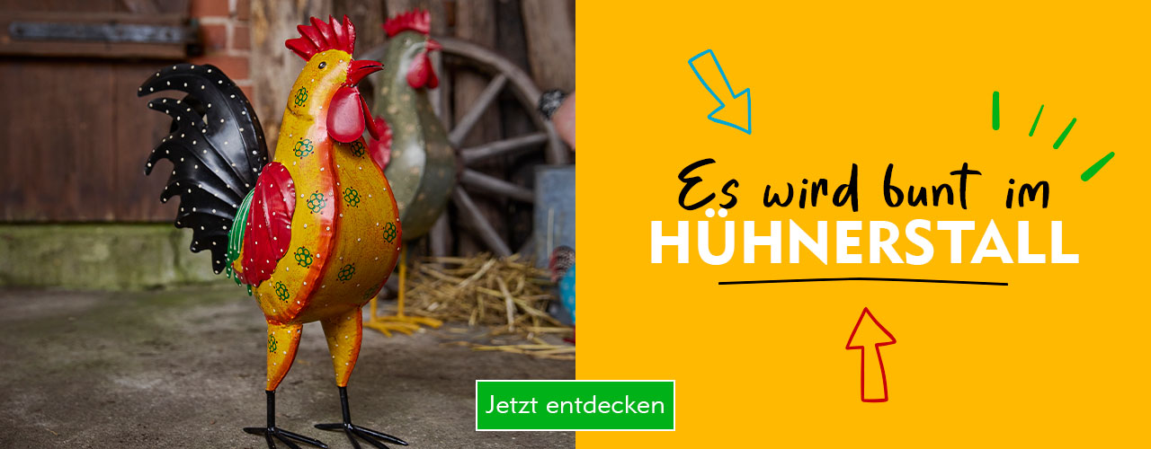 Es wird bunt im Hühnerstall