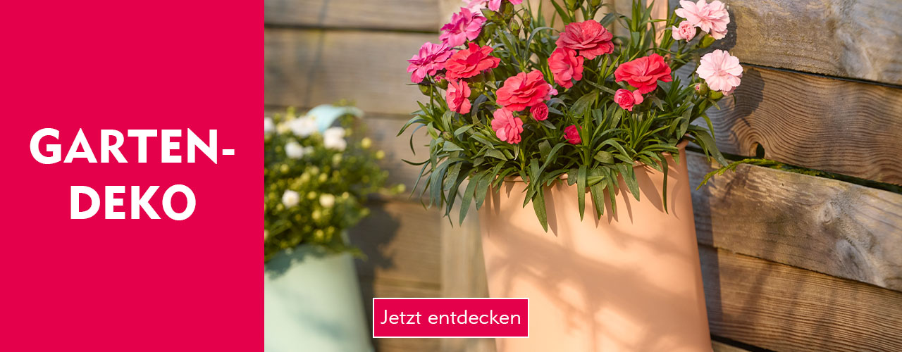 Entdecke Gartendeko bei Nanu-Nana Am Zaun hängender Blumentopf verlinkt auf die Kategorie Gartendeko