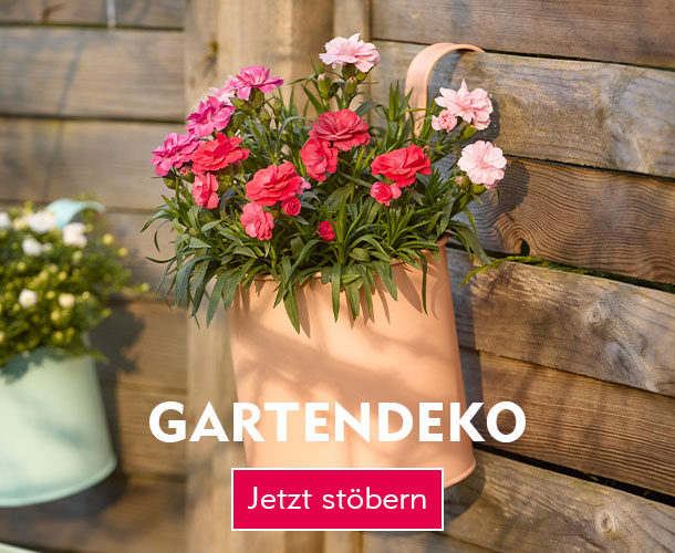 Am Zaun h&auml;ngender Blumentopf verlinkt auf die Kategorie Gartendeko
