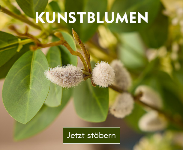 Weidenk&auml;tzchen verlinkt auf die Kategorie Kunstblumen