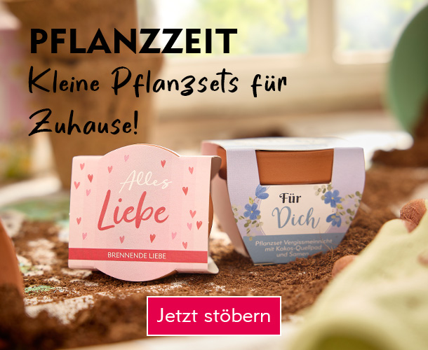 Kleine Pflanzsets zum Verschenken verlinkt auf Pflanzzeit