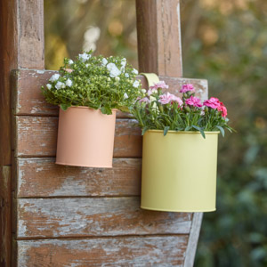 Outdoor & Garten verlinkt auf Outdoor & Garten